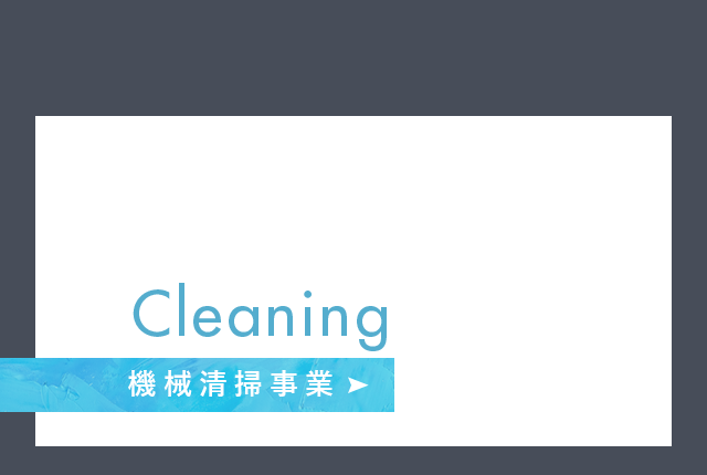 sp_half_cleaning_bnr